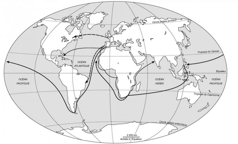 Les Grandes Découvertes Actu Histoire Géo